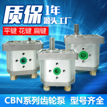 Lifting platform shearing machine tractor hydraulic oil pump high pressure gear pump CBT-E CBN-F314 F320 F325