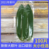 Zongzi leaves Zongzi leaves free mail fresh wild large export grade Ruo bamboo leaves Vacuum packed new leaves non-dried 100 pieces