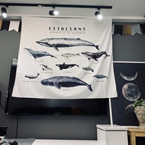 Rental House dormitory bedroom ins tapestry decorative cloth leisure living room Nordic creative background cloth whale