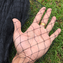 Single-layer nets occupy fish mesh semi-finished products thick nylon mesh soft black sticky net catches fish Seine crabs crabs
