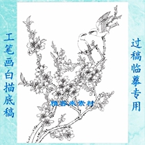 Peach blossom flower meticulous drawing line drawing manuscript line drawing physical printing manuscript necessary exercise manuscript flower and bird manuscript 22