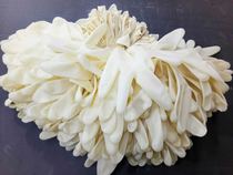 Disposable latex beef tendon gloves labor insurance waterproof and wear-resistant aquatic housework to Sea picking experimental rubber gloves