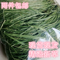  2020 New premium imported dried Northern Timothy grass Pet rabbit Chinchilla Dutch pig dried forage grass 500g