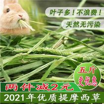 Minxian Food House Timothy grass Dutch pig forage Hay feed Chinchilla guinea pig Rabbit food forage Rabbit grass