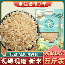 Northeast brown rice grains germinated early rice coarse grains rice new rice whole grains early rice germ rice 5kg