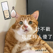Send beauty eggs Barbella concealer artifact spots face acne marks cover acne dark circles Barbera
