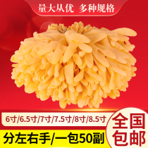 Grade a disposable beige beef tendon gloves rubber latex divided left and right hand gloves powder-free aquatic wear-resistant gloves