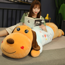 Plush toys Dog doll pillow girls sleep cute cuddle bear Ragdoll doll super soft bed boys