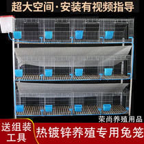 Rabbit Cage Automatic Conservancy Waste Anti-Spray Urine Rabbit Cage Home Farm Special Specialty Special Specie Large Rabbit Cage