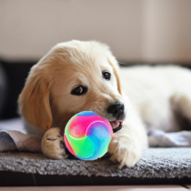 2 pieces of loaded luminous dog ball glittering ball with luminous elastic ball luminous ball