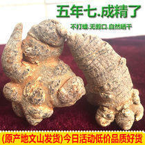 Sanqi head wild fifteen freeze-dried Wenshan premium 500g Yunnan 18 heads 20 heads 30 heads powder root flower 37