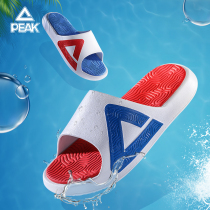 Peak style slippers basketball men's outdoor spring and summer new second generation tai chi leisure sports sandals women's wear