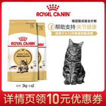 ROYAL CANIN cat food Coon cat into cat food MC31 2KG