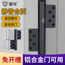 Thunderbird slotted invisible door hydraulic hinge aluminum alloy door hinge stainless steel door iron door spring hinge