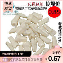 Dentist exam tooth preparation practice tooth dental resin simulation tooth particle resin loose teeth oral in vitro tooth preparation
