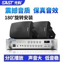 Synco P40 wall-mounted Bluetooth audio Shop dedicated background music broadcast speaker Commercial wireless surround speaker