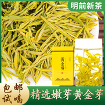 Gold Bud Tea 2021 New Tea Authentic Mingmei Anji Green Tea White Tea Tea 50g Bulk Premium Gold Teeth