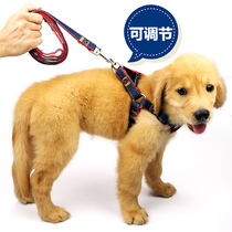 Dog leash dog rope dog rope small dog Teddy medium dog golden retriever Labrador dog chain strap