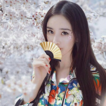 Cai Xukun Yang Mi with mini folding fan photography props 3 inch 4 inch 8CM gold small fan headdress SD doll