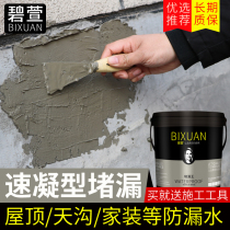 Bixuan plugging King King decoration waterproof water non-leakage plugging spirit quick-drying cement to make up cracks roof waterproof material