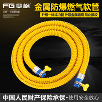 Household armored explosion-proof gas pipe gas pipe natural gas pipe liquefied gas pipe tank connection gas stove metal hose