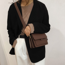 Hong Kong IT leather bag women 2020 New tide this year popular niche design pet fashion shoulder bag