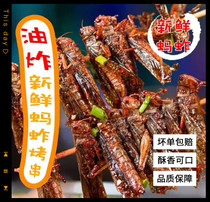 Grasshopper skewers Xiangxi small skewers grilled ingredients Iron plate small skewers fried food fried commercial 20 skewers 3 bags