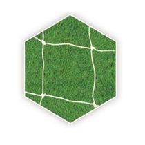 Ai Gao full climate durable safety Environmental Protection high intensity line professional football door net QW-SYRZ-02
