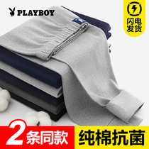 Flower Playboy autumn pants mens pure cotton thin section Spring and autumn beating bottom lining pants loose and warm all cotton wool trousers winter tide