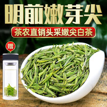 Anji white tea 2021 new tea Super Ming front pick Alpine rare green tea spring tea bulk 250g