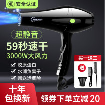 Hair hair dryer household high-power hair dryer barber shop blower negative ion hair care constant temperature hot and cold air duct