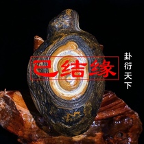 Gu Zhenmeng Tianzhu Gua Yan Tianxia Crooked neck Old mother Rough Natural Nine-eyed Stone Shale Tianyan Agate Tibet true