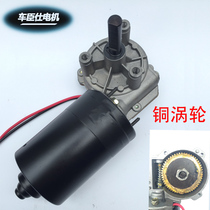 Chechens motor High torque 12v60w worm gear reducer motor Copper turbine shaft type D