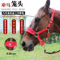 Pulling horse cage head plus velvet horse cage head strong wear-resistant horse dragon cover adjustable horse head cover (without horse rope)