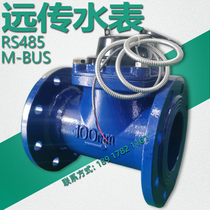 Remote water meter photoelectric direct reading 485 communication port M-BUS protocol Industrial intelligent hot and cold water meter 80 100