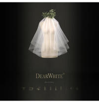 Dear White Clouds Dear White wedding ceremony Light wedding travel short bridal headdress veil