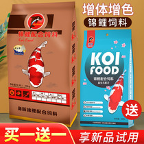 Dolphin koi fish feed Breeding color enhancement Ornamental fish fattening Koi fish food particles fish food winter universal