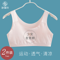 Girl underwear womens summer thin development period sports vest primary and secondary school students no trace big children without steel ring bra bra