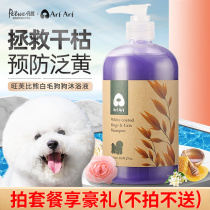 Bears White Hair Wangfu Dog Shower Gel Bomei Special Samoye Whitening and Yellow Cat Dog Shampoo Bath Supplies