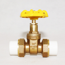 Tianyi Jinniu PPR Double Active Gate Valve Active Valve All Copper PPR Active Valve All Copper Cut-off Gate Valve