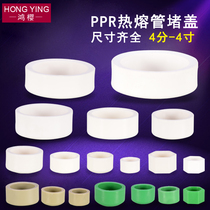 PPR plug cap hot melt plug DN20 25 32 40 63 75 110 pipe plug 64 points inner wire water pipe fittings