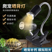 Turtle sun back light Climbing pet lizard uva calcium sterilization insulation heating UVB bulb lighting Turtle light