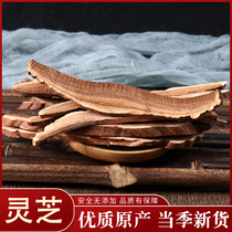 Ganoderma Zhi tablets 50g Northeast Changbai Mountain specialty purple Ganoderma lucidum slices red Ganoderma lucidum