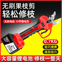 Eagle vision An lithium scissors Electric rechargeable multi-function pruning shears Household garden fruit tree pruning machine branch scissors