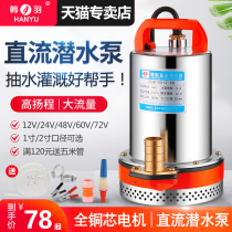 Hanyu DC submersible pump 12V24V48V60V volt electric bottle car water pump electric car pumping water pump agricultural pump