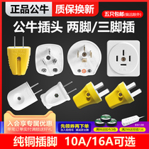 Bull plug triangle two-pin three-pin 10A 16A air conditioner 2 3 household power socket three-hole plug without wire