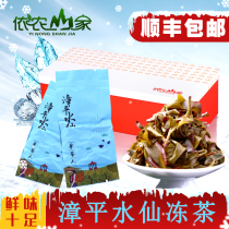 Yinong Shanjia Zhangping Narcissus Frozen Tea Wet Tea Narcissus Tea Cake Traditional Paper Pack Squid Narcissus Oolong Tea