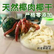 Pet hermit crab special feed food natural coconut coconut coconut dried fish dried shrimp calcium trace element
