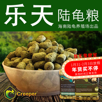 Creeper Hainan Lotte Farm Produces Tortoise Grain Sukada Radiation Tortoise Grain Rainforest Grain African Desert Type