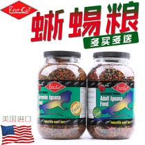 United States imported REPCAL Mane lizard grain fruit flavor IG green iguana feed adult larval food